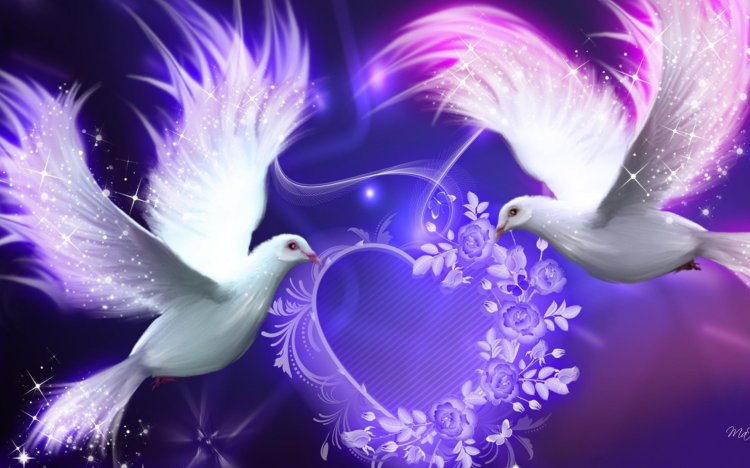 purple-doves-scenic-background-lover-birds-wallpaper-animal-desktop